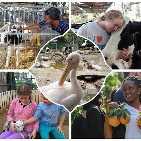 Shaar Hagolan Kibbutz Country Lodging Ngoại thất bức ảnh