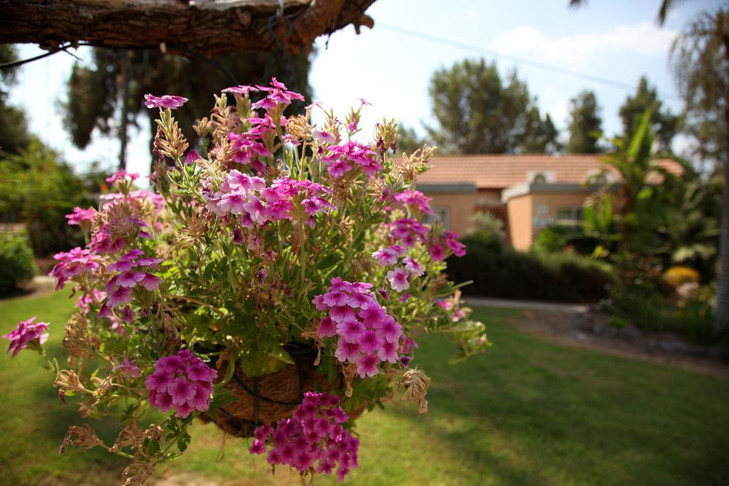 Shaar Hagolan Kibbutz Country Lodging Ngoại thất bức ảnh
