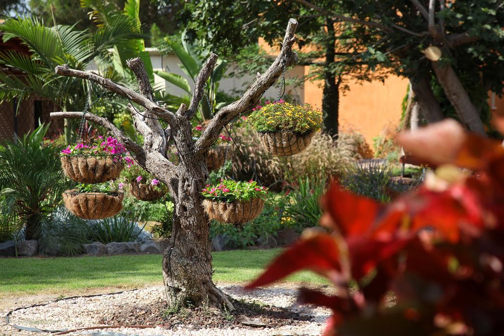 Shaar Hagolan Kibbutz Country Lodging Ngoại thất bức ảnh