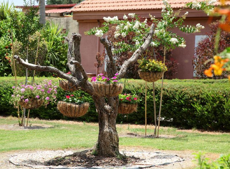Shaar Hagolan Kibbutz Country Lodging Ngoại thất bức ảnh